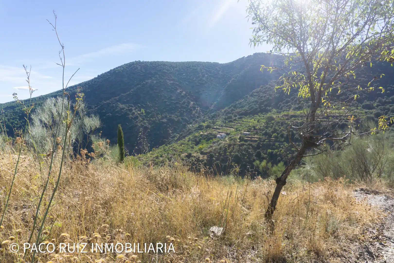 Finca rústica en venta en Purchena