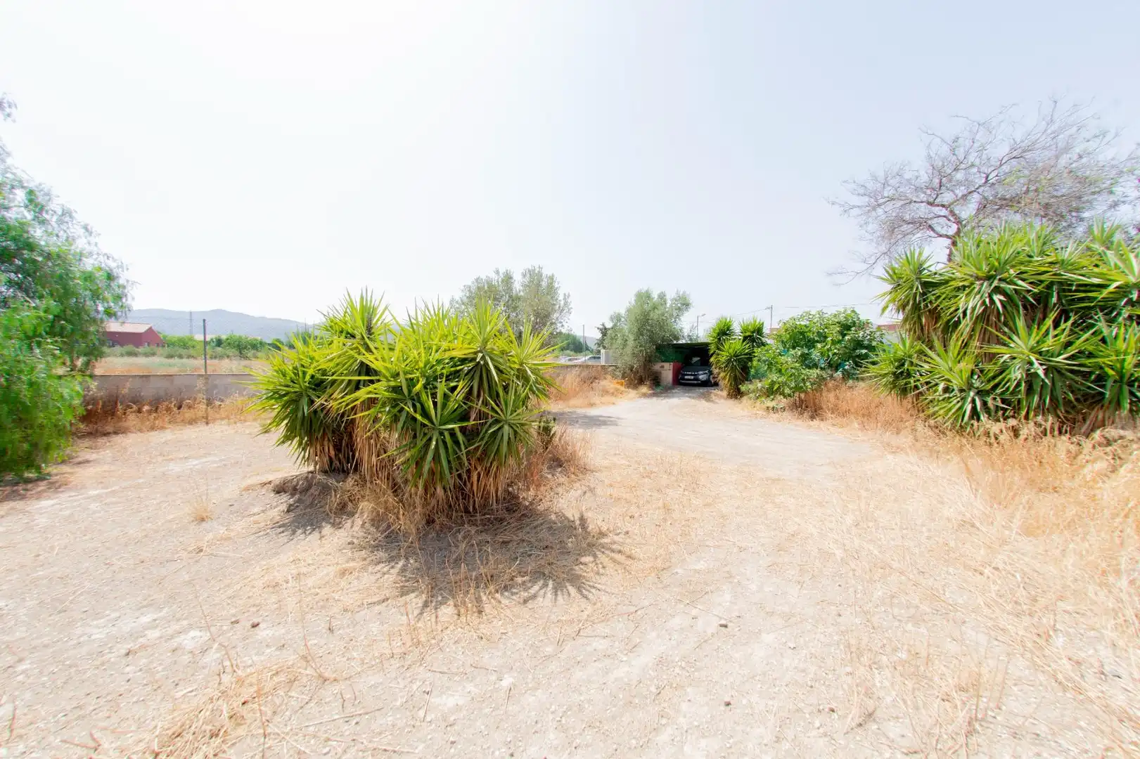 Country house for sale in Camino Camino Feli, imagen 35