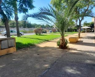 Garden of Premises to rent in Jerez de la Frontera