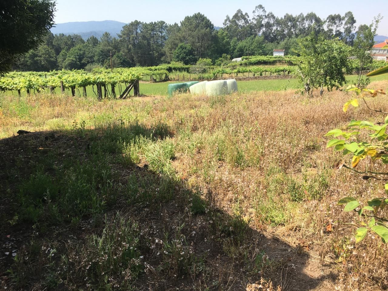 Country house for sale in Teo