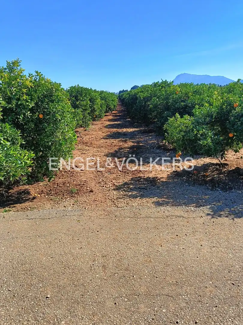Lands and plots for sale in Els Poblets