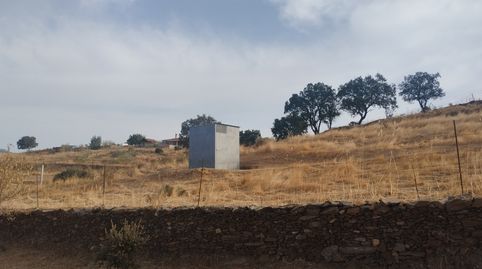 Terreno cerca de Jerez. Olivos, luz, buen acceso, imatge 3