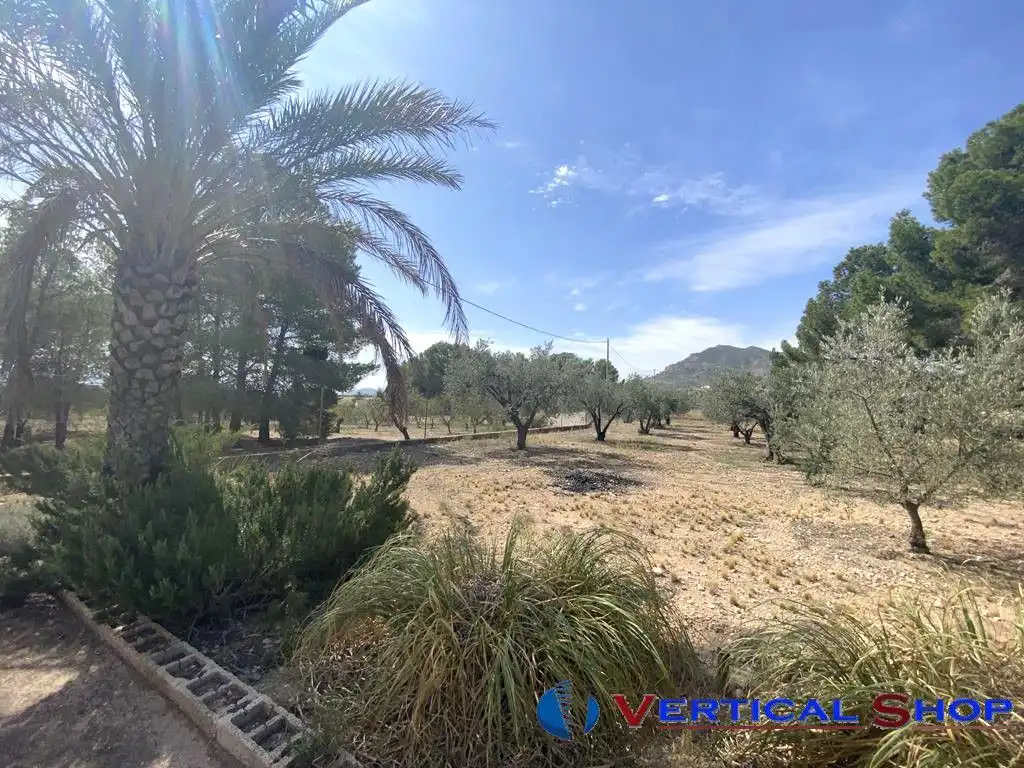 Chalet en venta en Camino Toconera, imagen 18