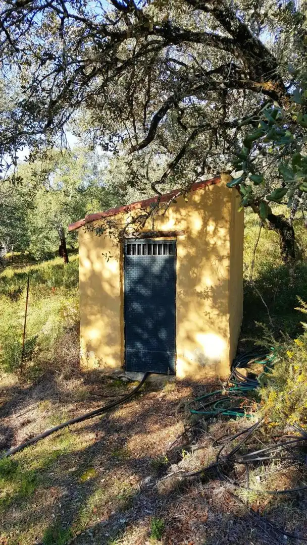 Vista exterior de Finca rústica en venta en Santa Ana la Real con Calefacción, Jardín privado y Terraza