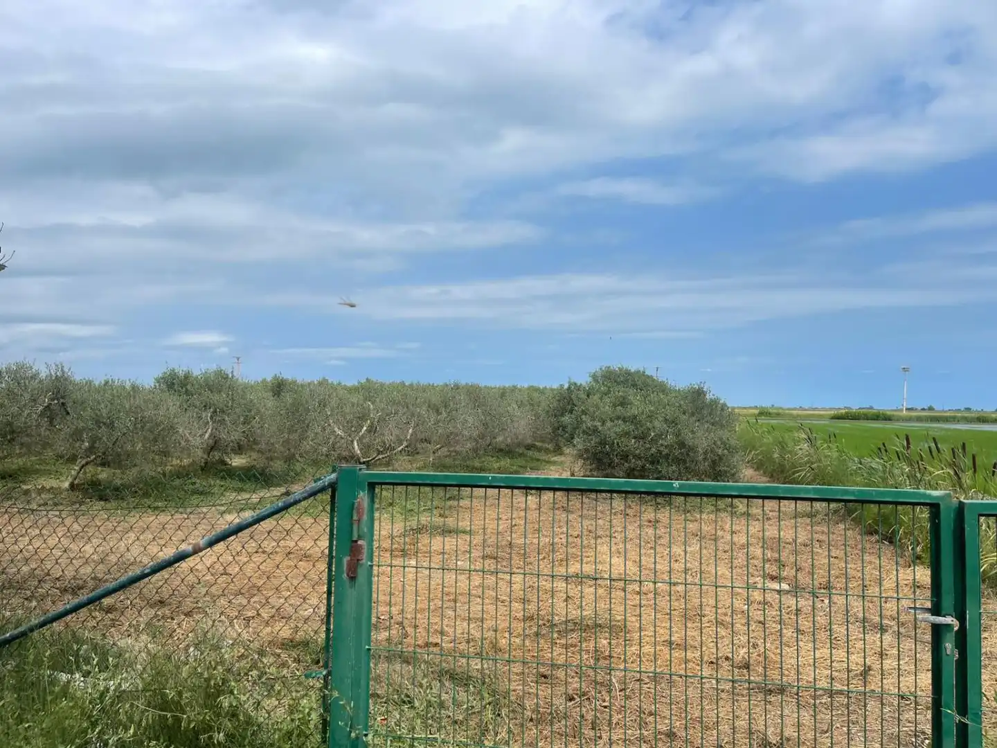Country homes for sale in Amposta