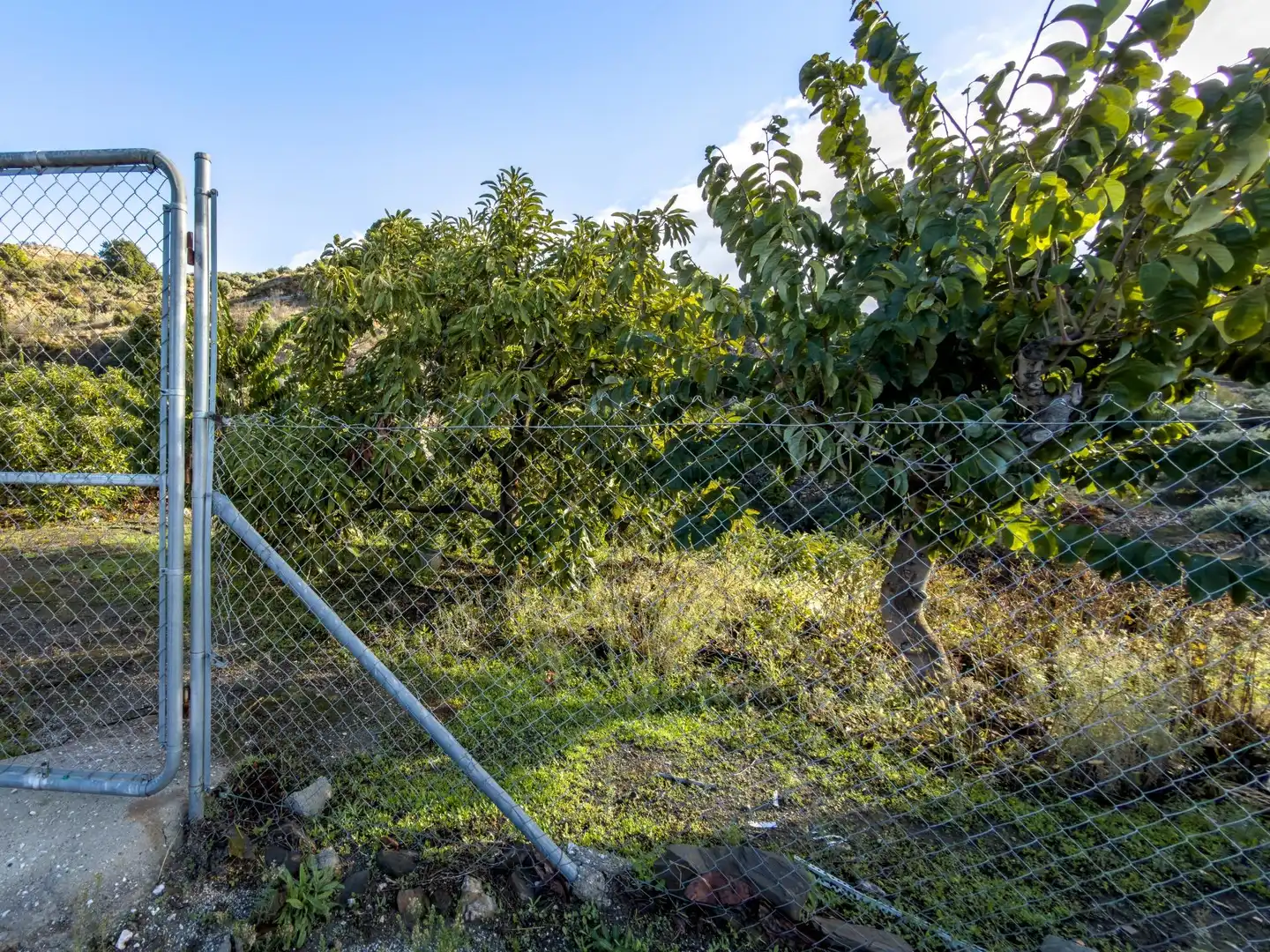 Finca rústica en venda en Los Guájares amb Terrassa i Traster