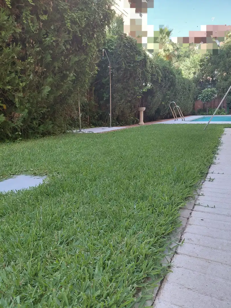 Jardín de Piso de alquiler en Córdoba con Aire acondicionado, Calefacción y Terraza