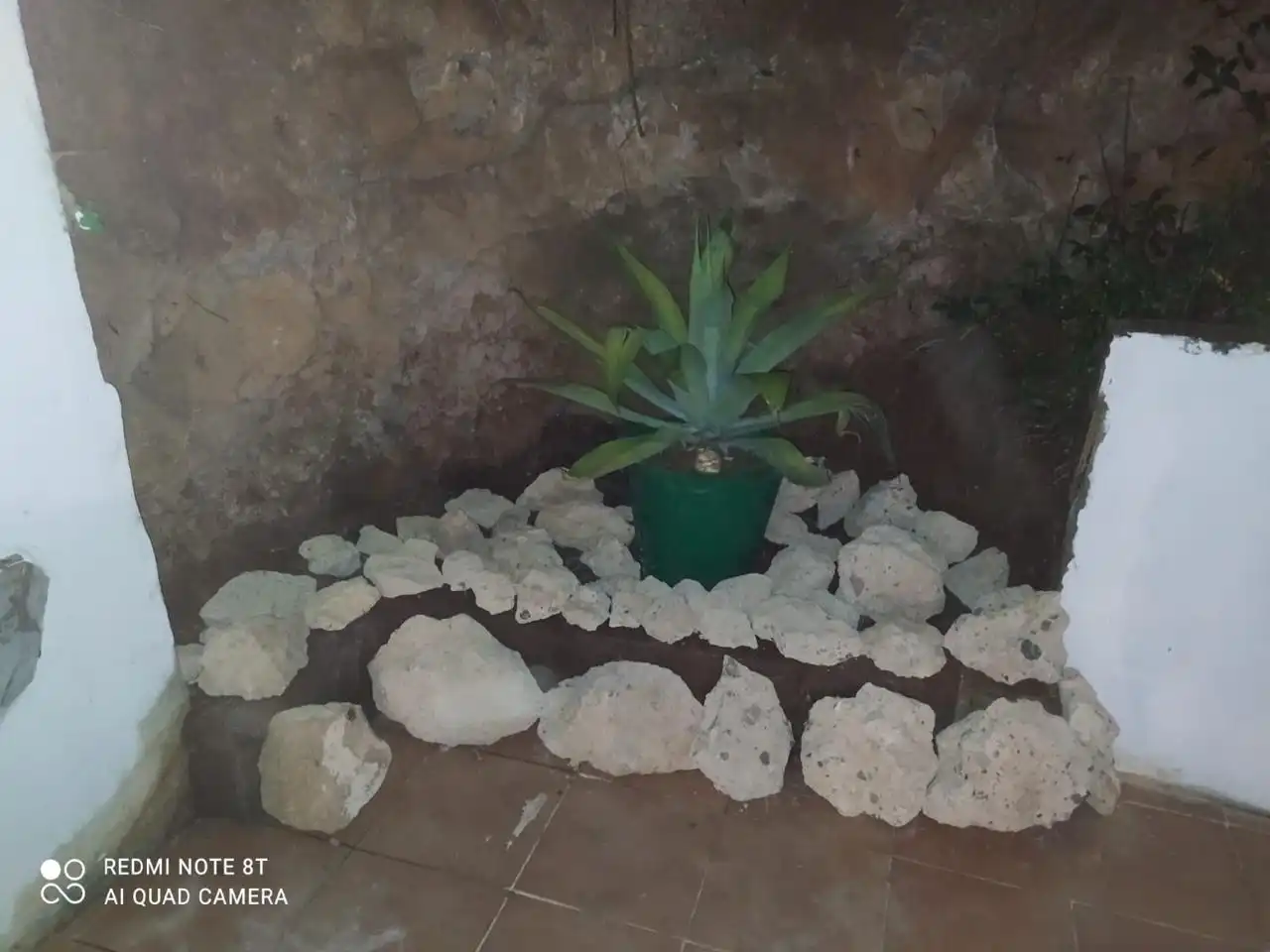 Casa o xalet de lloguer a La Constitución, El Sauzal