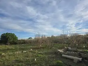 Villa avec jardin à vendre à Partida la Plana 32, imagen 4