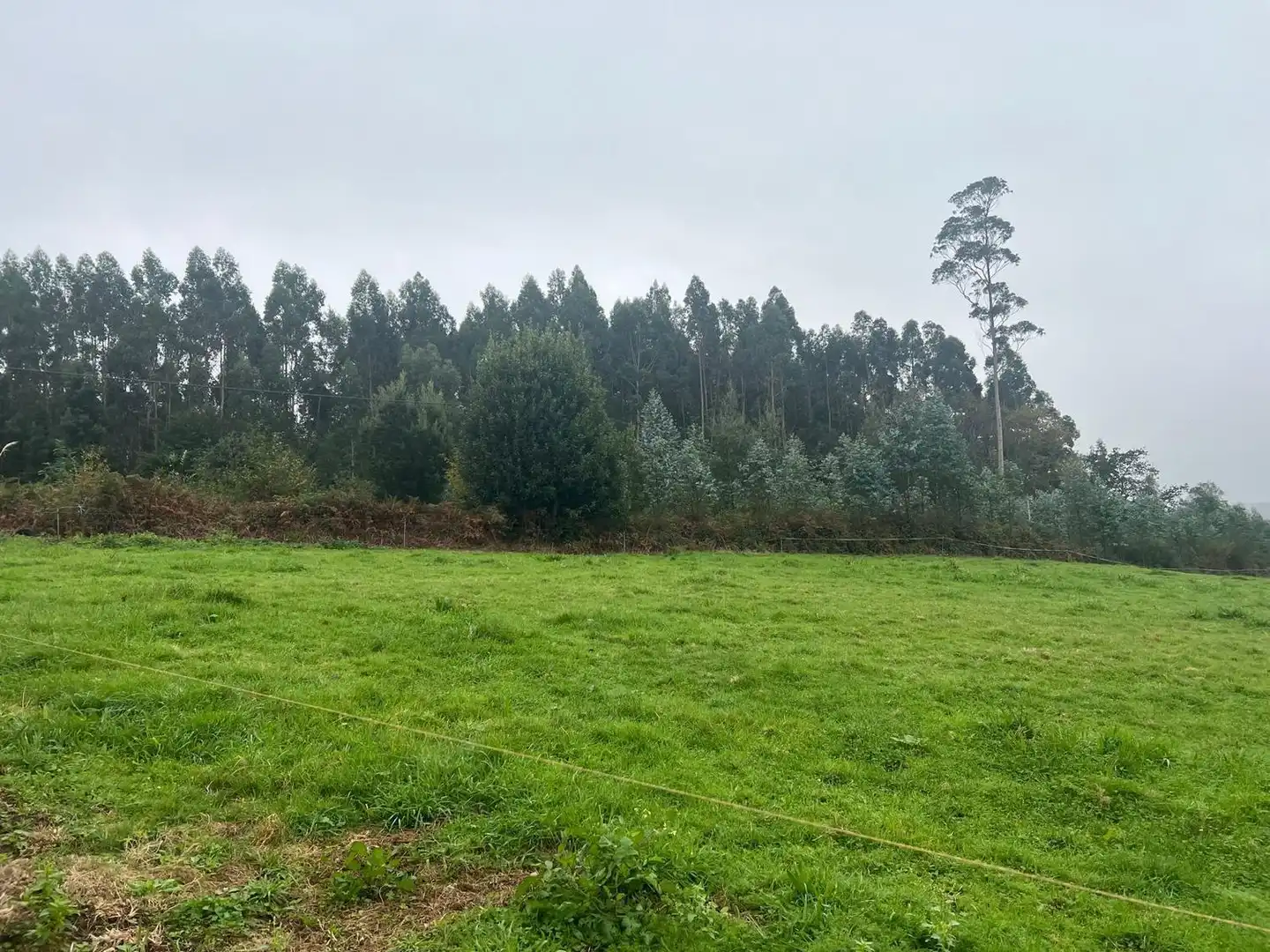 Xalet amb jardí en venda a Lugar Castrelo, imagen 25
