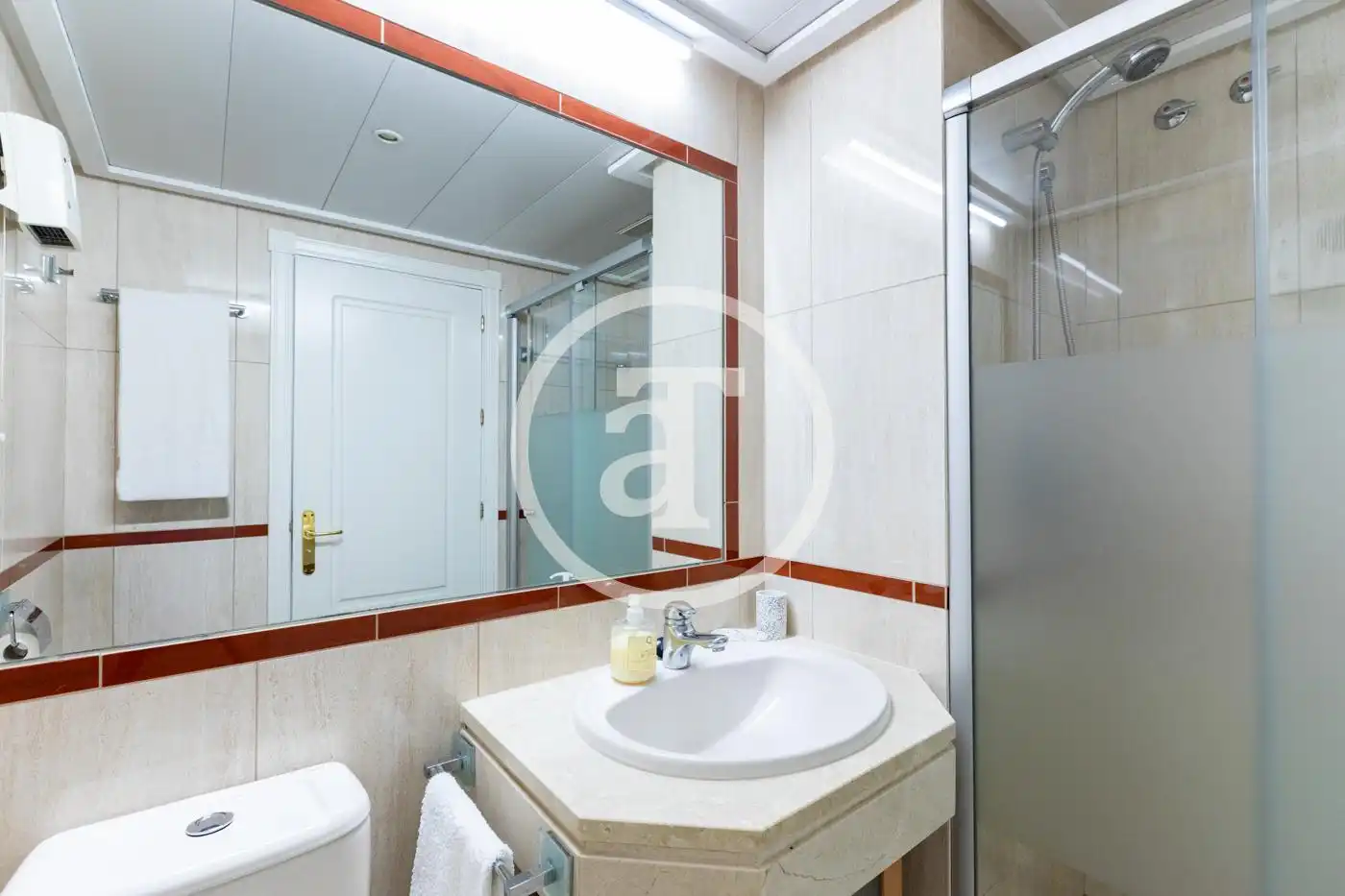 Bathroom of Flat for rent in Madrid  with Air Conditioner, Heating and Furnished
