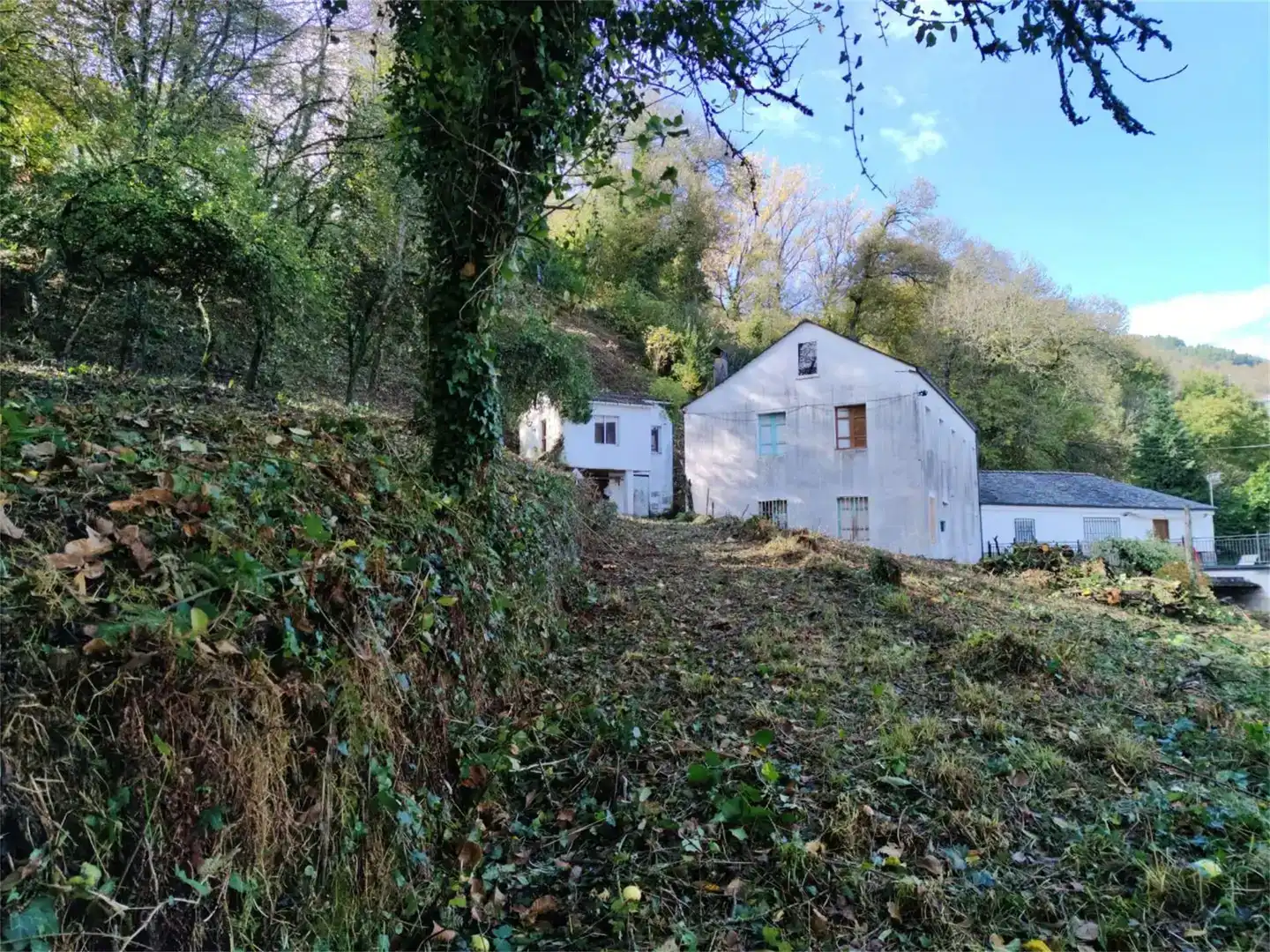 Vista exterior de Casa o xalet en venda en Becerreá amb Jardí privat i Moblat