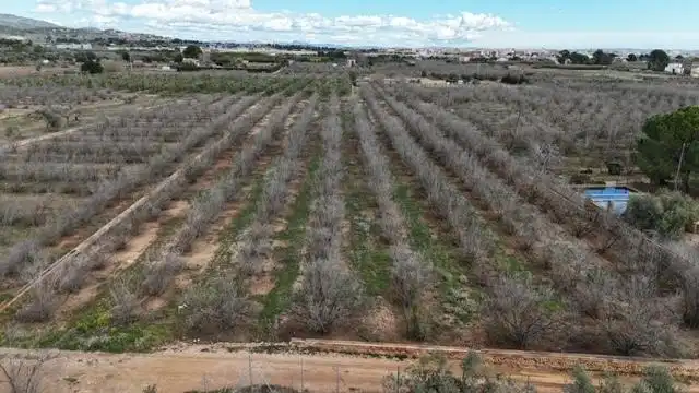 Terrenys i solars en venda a PDA PLANES DEL ROQUÍS POL 3 PARC. 47, imagen 4
