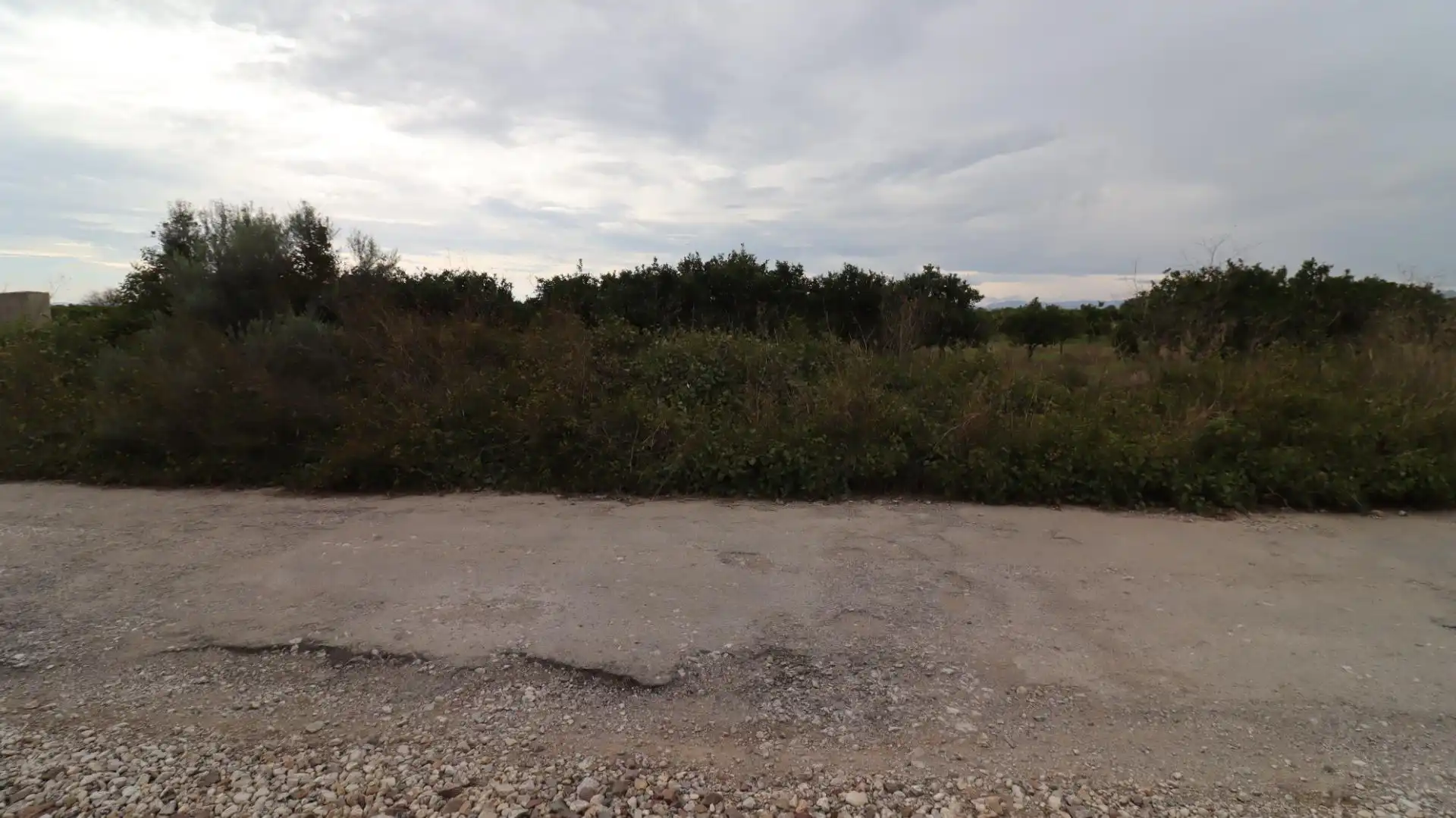 Terreno rustico in vendita a Partidas de interior - Zona Rústica, imagen 10