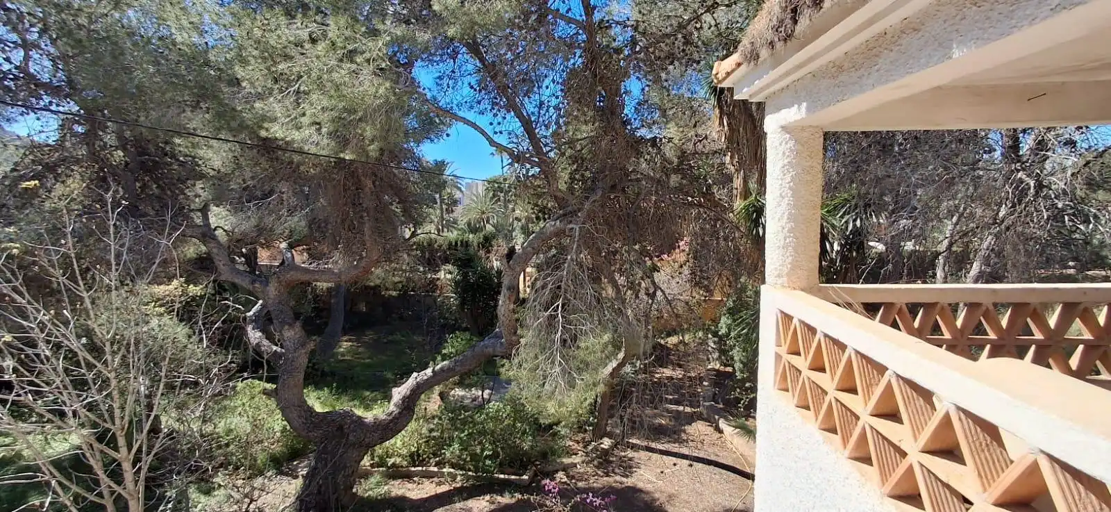Garden of Country homes for sale in Benidorm  with Private garden, Terrace and Storage room