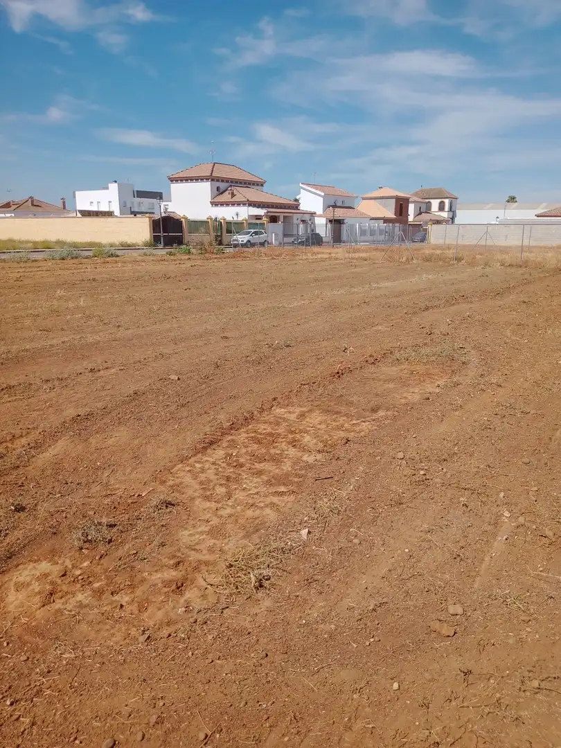 Residential land for sale in Calle MIGUEL HERNANDEZ, imagen 2