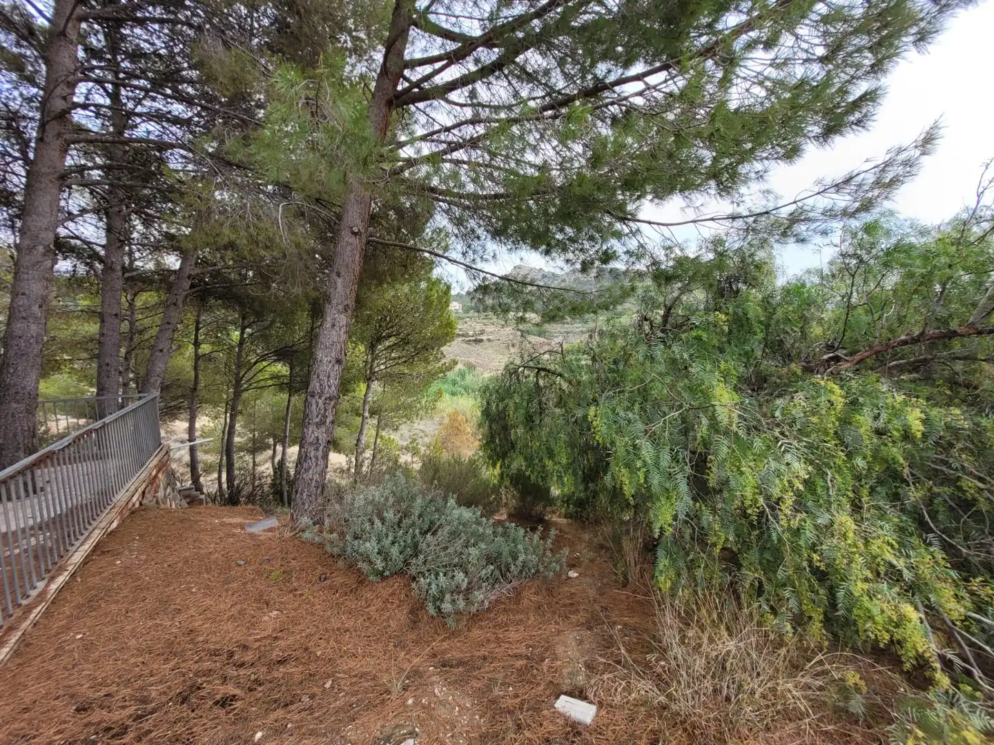 Country house with pool for sale in Petrer, imagen 14