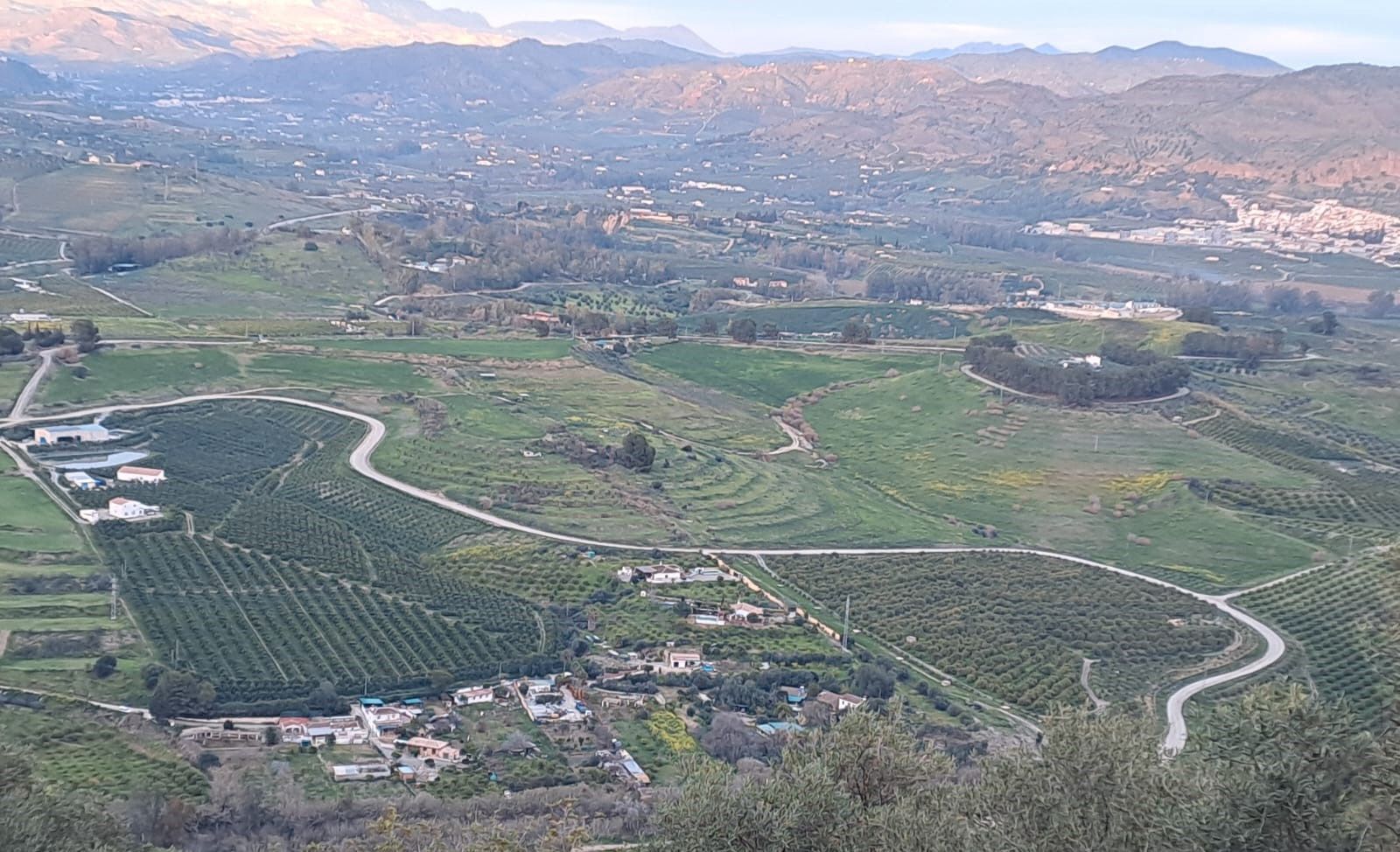 Exterior view of Country house for sale in Pizarra