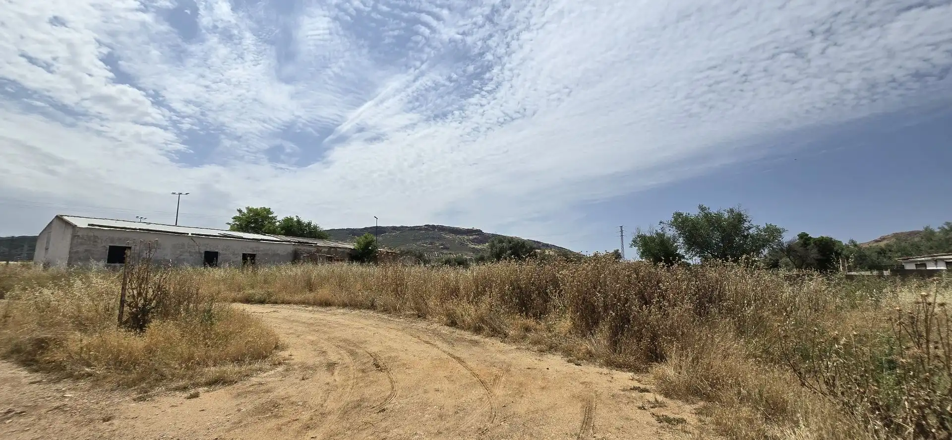 Terreno rustico in vendita a Argamasilla de Calatrava, imagen 9