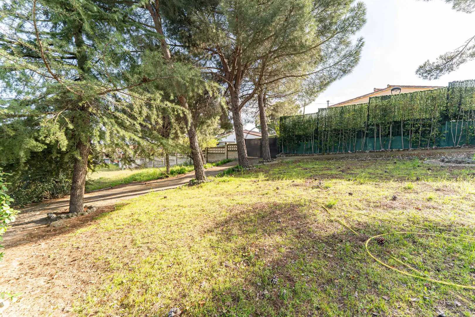 Residential land for sale in Calle de los Olivos