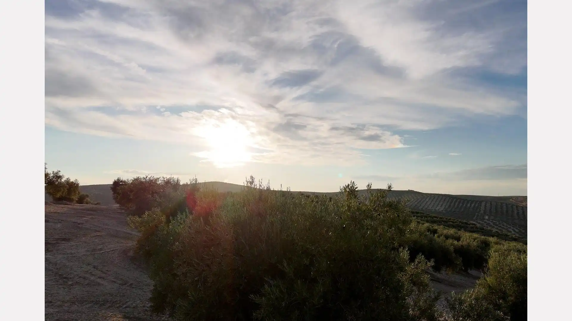 Terreno en venta en Torredelcampo