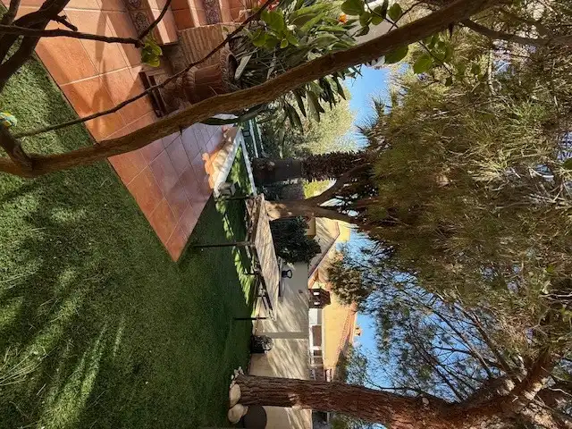 Casa o chalet en venta en Playa Flamenca