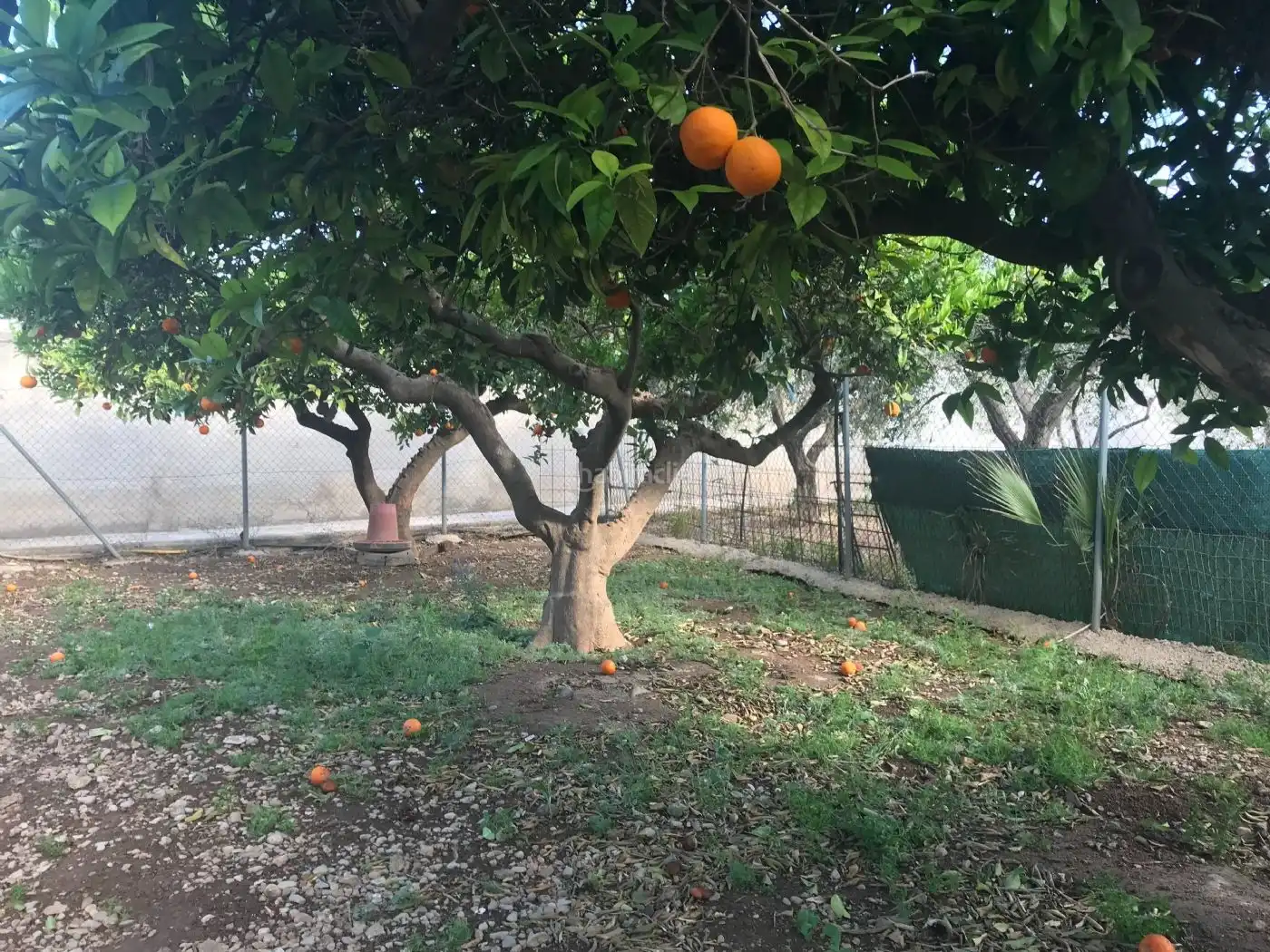 Terreno residencial en venta en Partida Collet 23, imagen 12