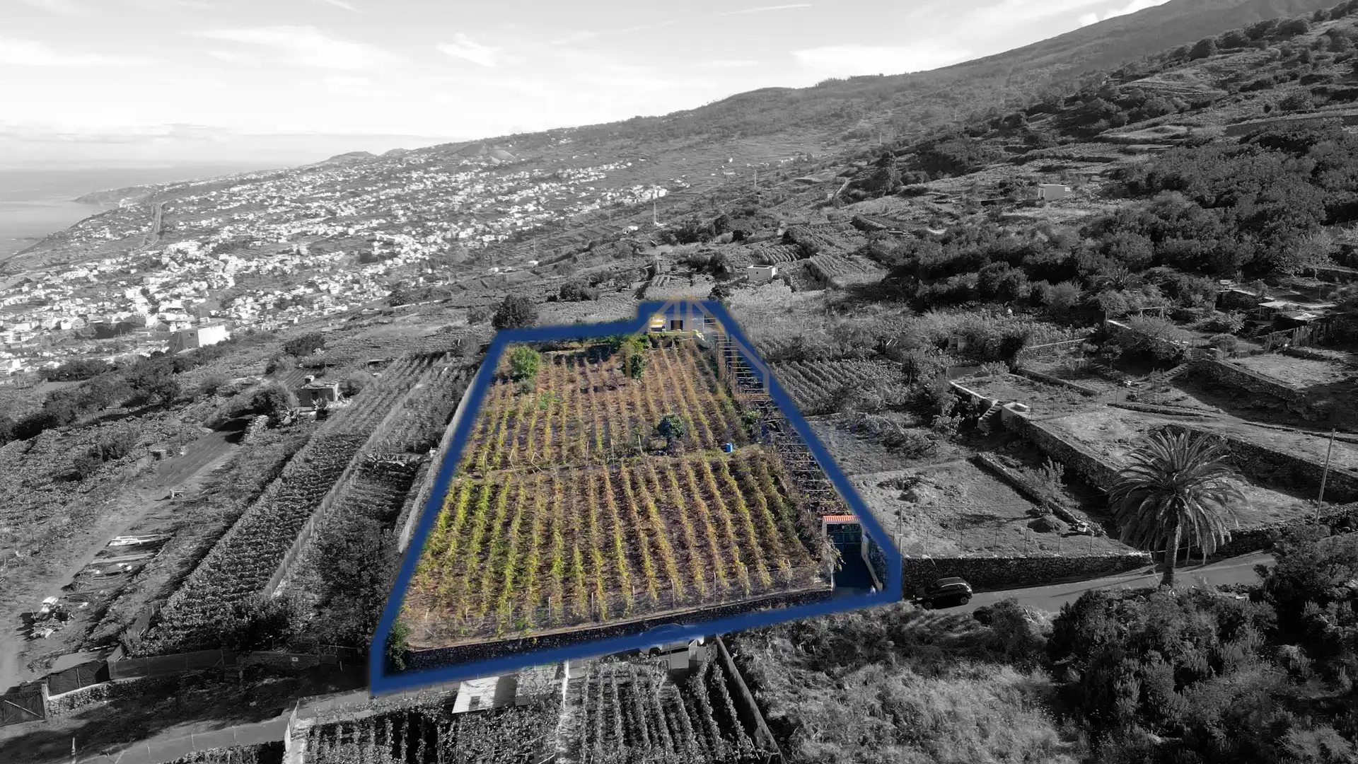 Finca rústica en venda en Santa Úrsula amb Terrassa