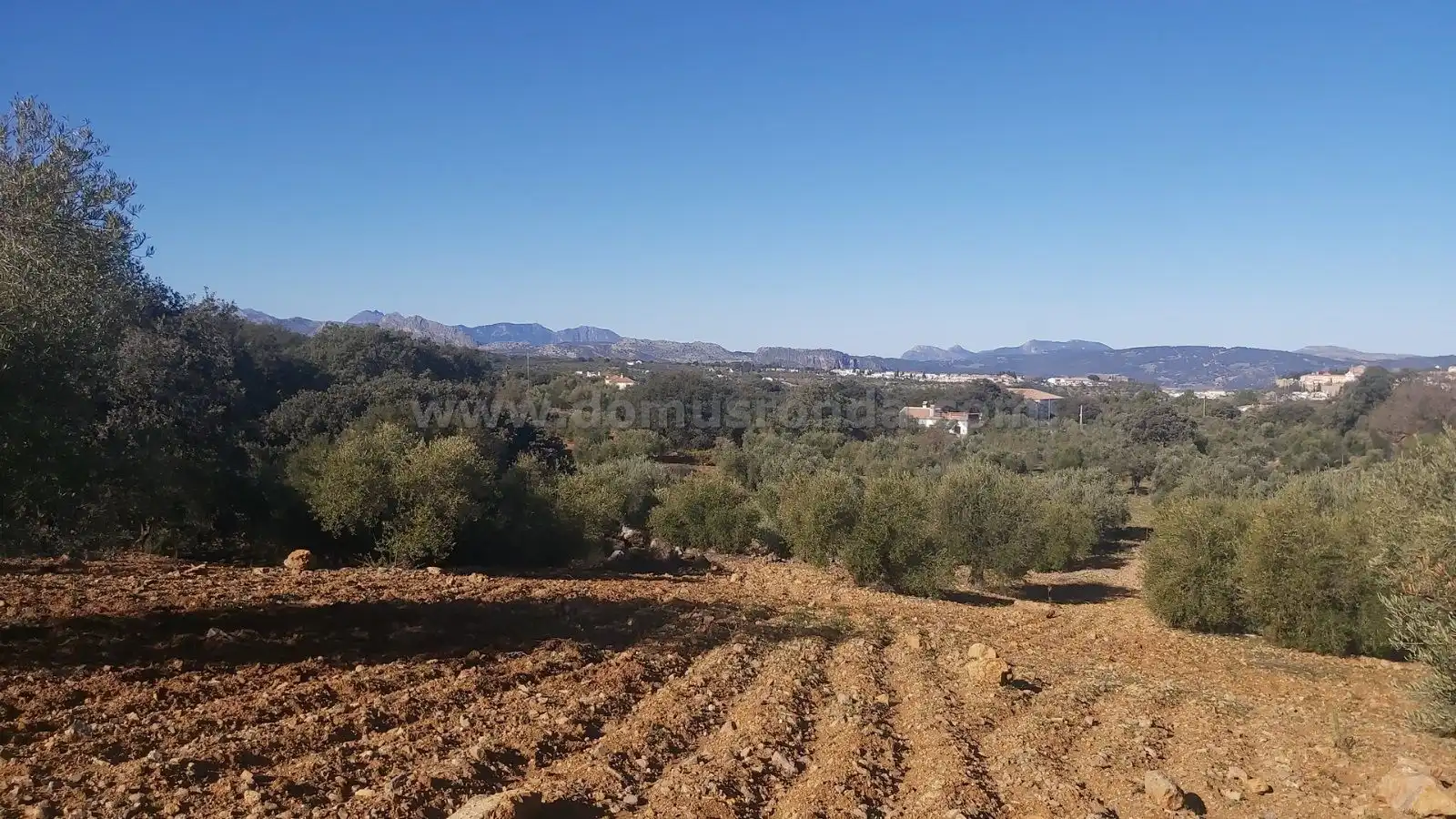 Terreni e lotti in vendita a Partidas Norte