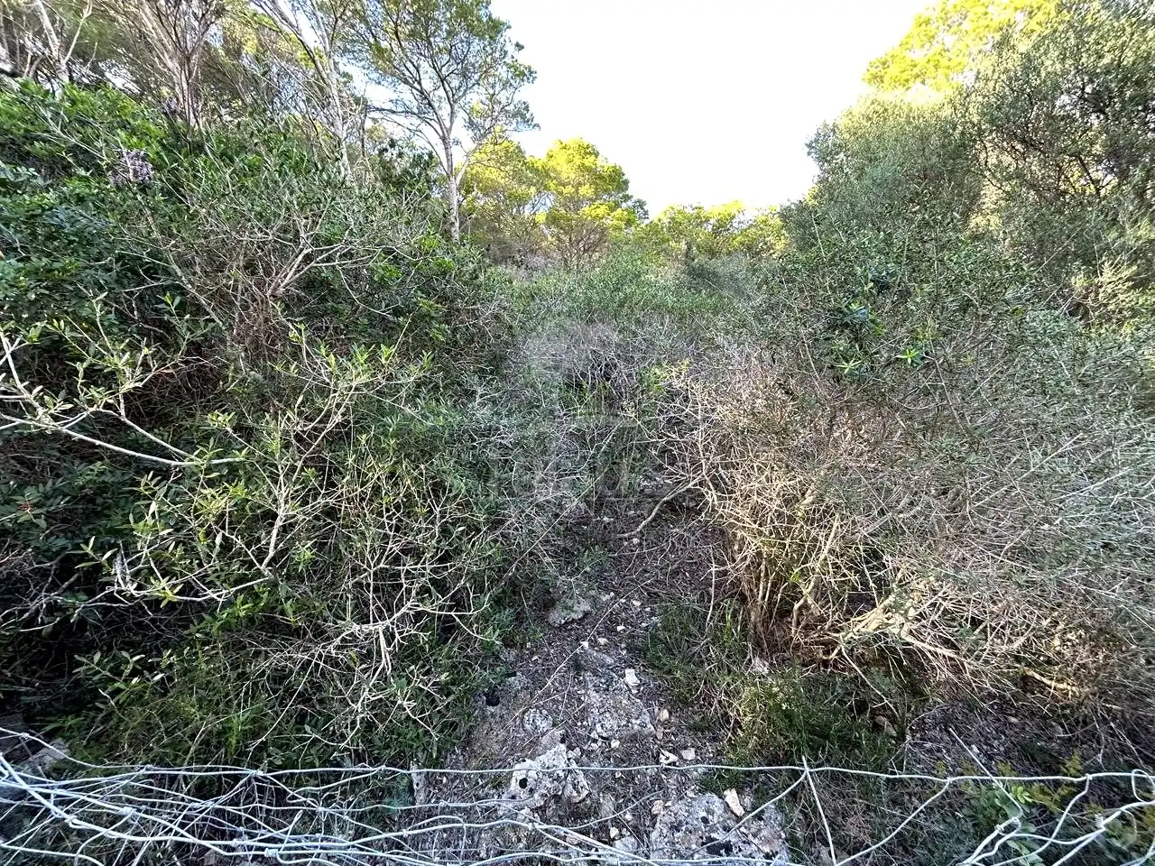 Rural land for sale in Cala Morell, imagen 5