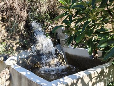 Terreno rustico in vendita a Tolox