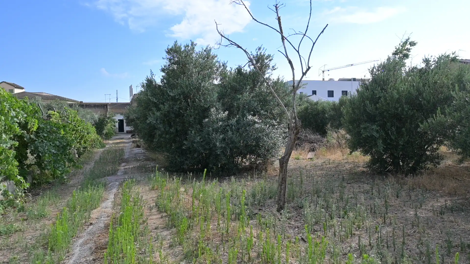 Residencial en venta en Alhendín