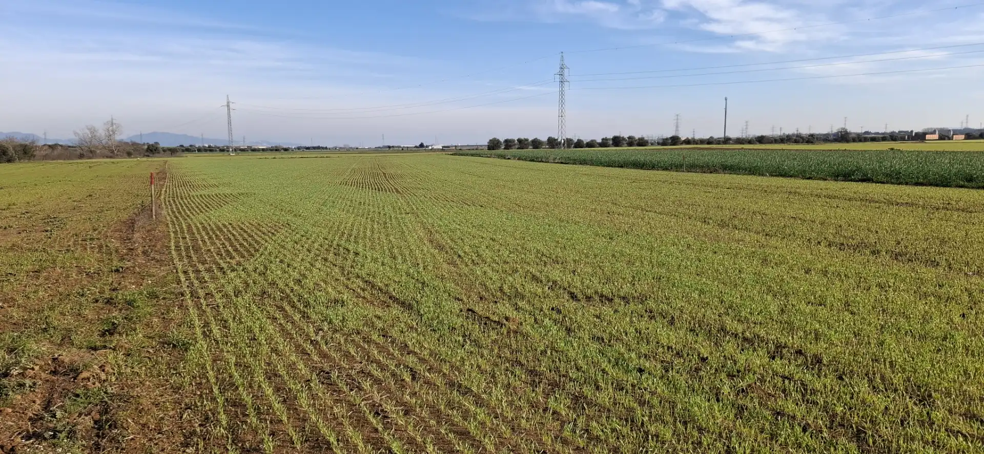 Terreno en venta en Vilafant