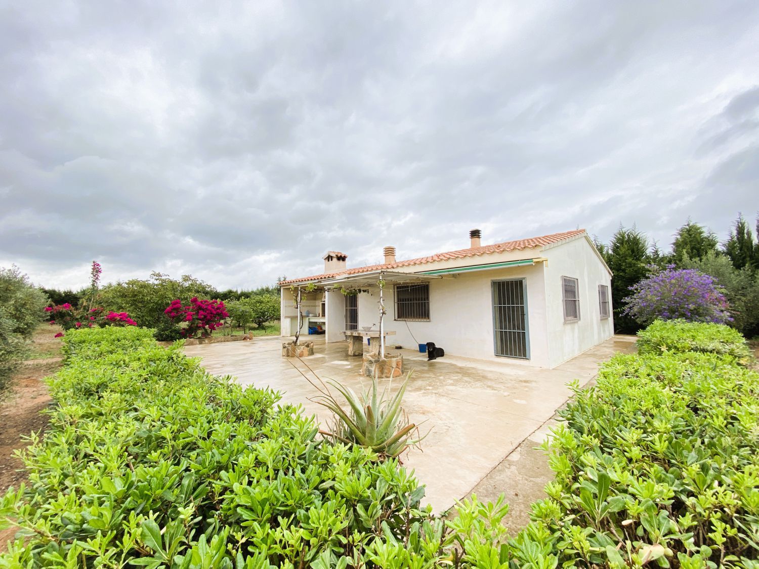 Jardí de Finca rústica en venda en Montbrió del Camp amb Terrassa