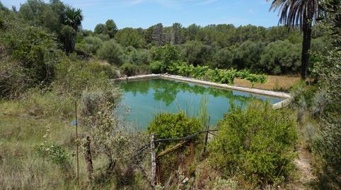 Photo 3 of House or chalet to rent in Calvià pueblo, Illes Balears