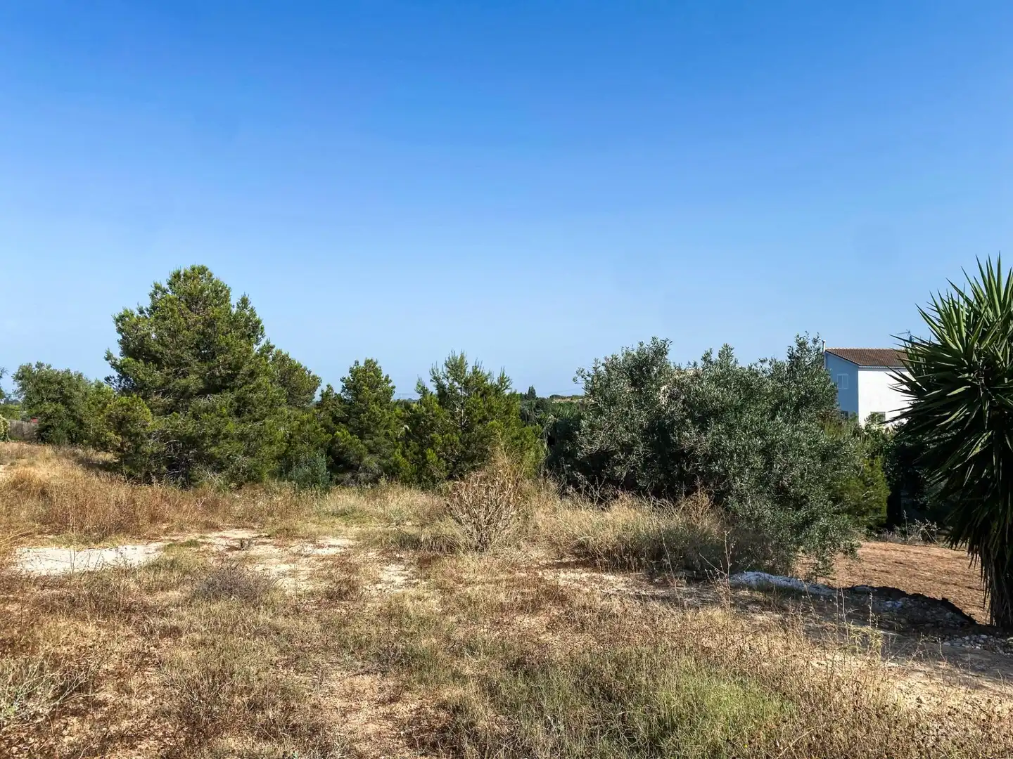 Residential land for sale in Calle Hermanos Quintero, imagen 4
