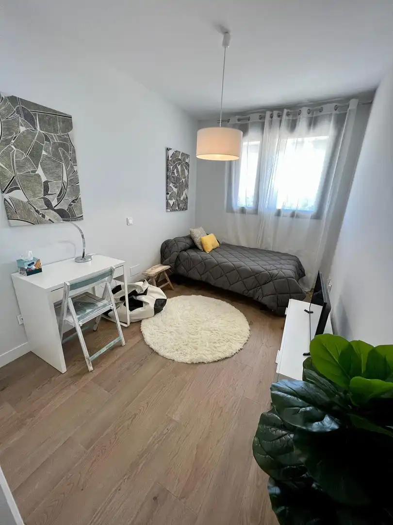 Piso con piscina en venta en Calle Calle Navarro Ledesma, imagen 12