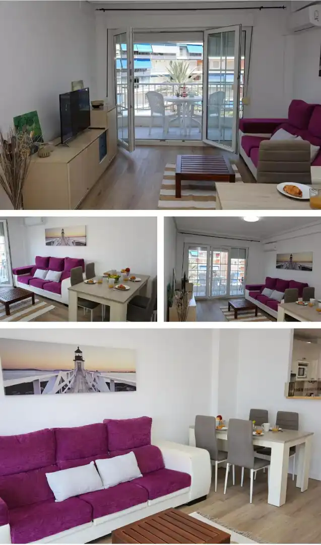 Sala d'estar de Pis de lloguer en Alicante / Alacant amb Terrassa, Moblat i Es permeten mascotes