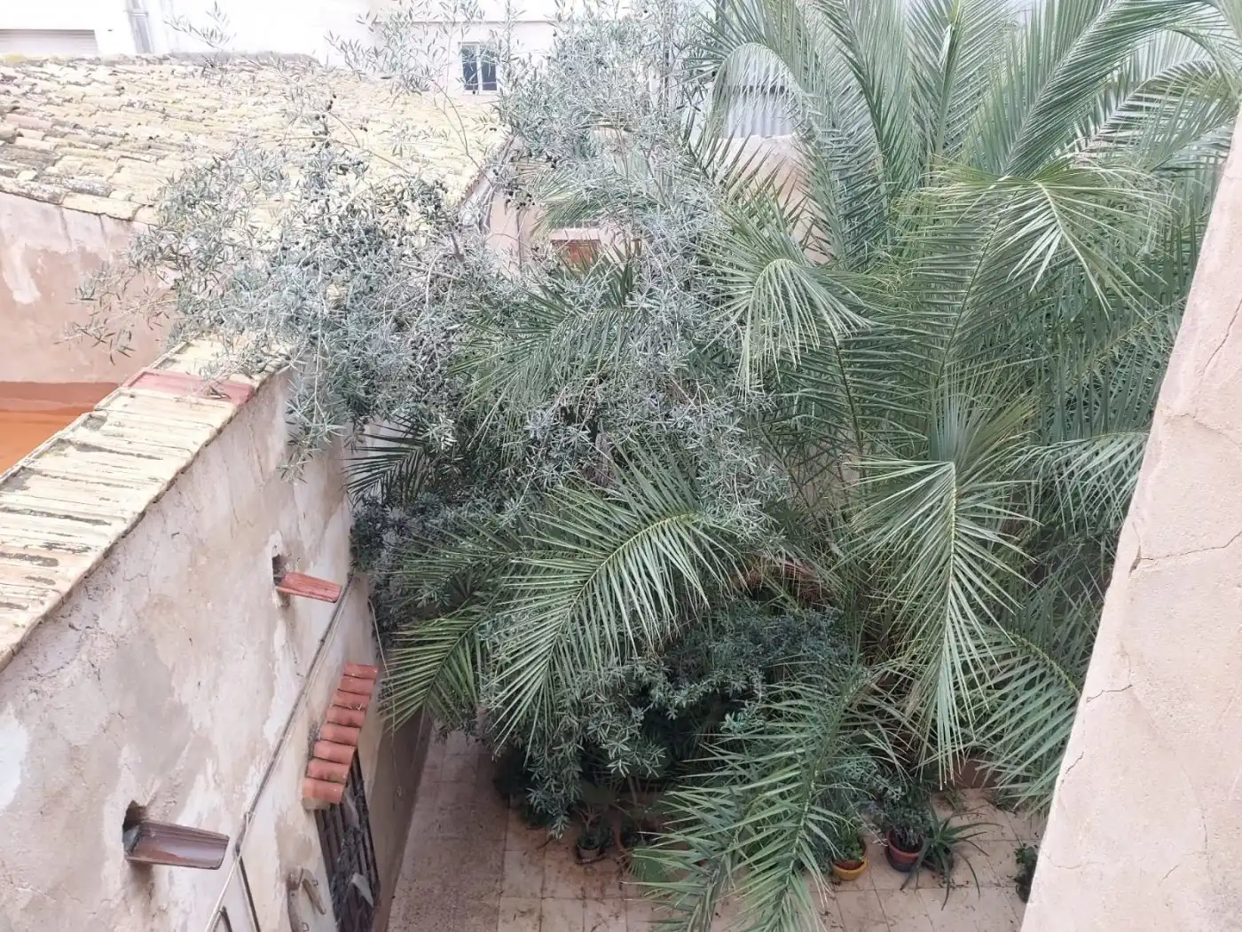 Country house with terrace for sale in Plaza PARADOR, imagen 19