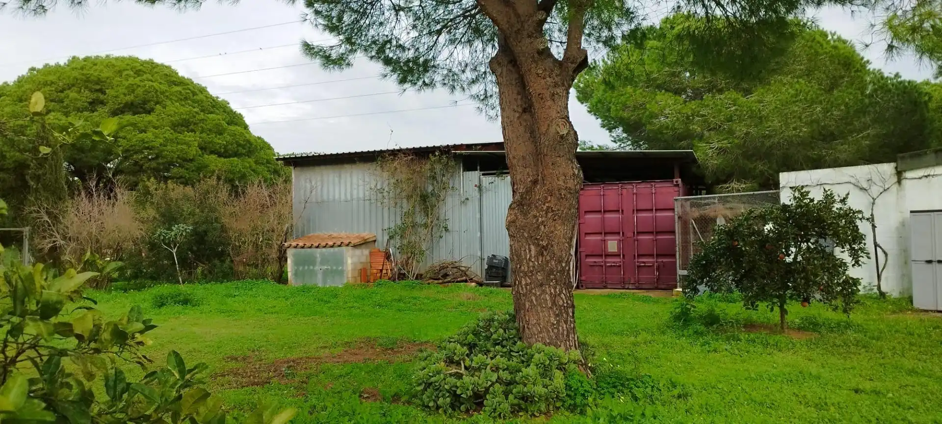 Vista exterior de Casa o chalet en venta en Puerto Real