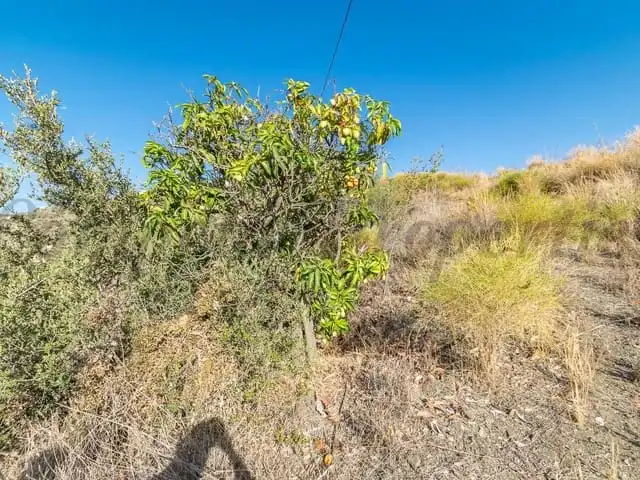 Terreni e lotti in vendita a Torrox Pueblo, imagen 6