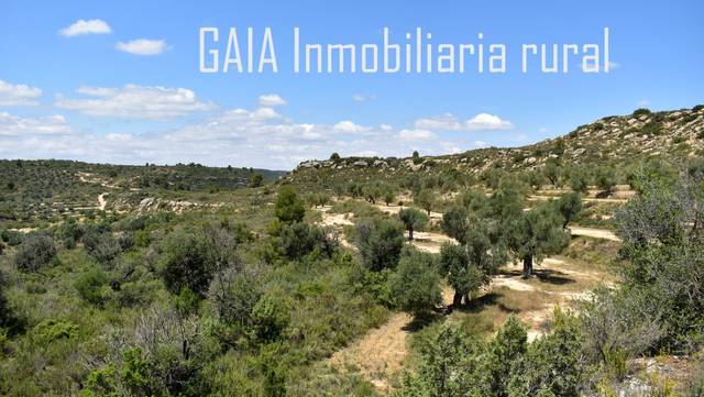 Terreno en Venta en Doctor Cerrada