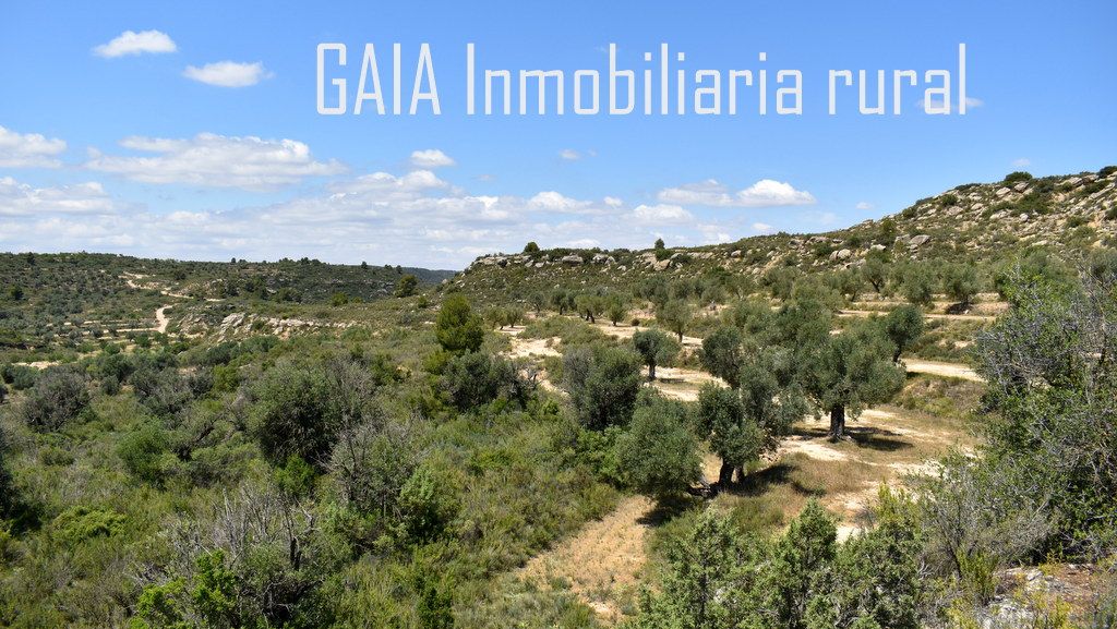 Land for sale in  Zaragoza Capital