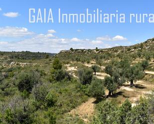 Land for sale in  Zaragoza Capital