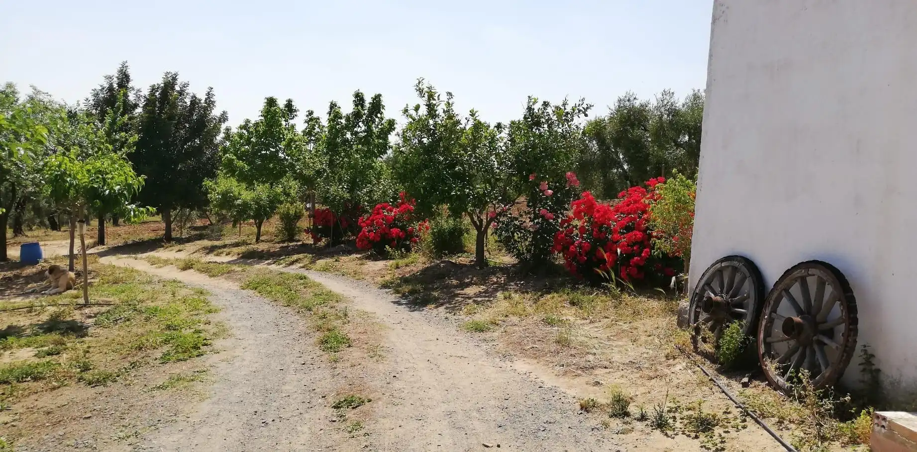 Casa o xalet en venda en Villanueva del Río y Minas amb Jardí privat, Terrassa i Traster