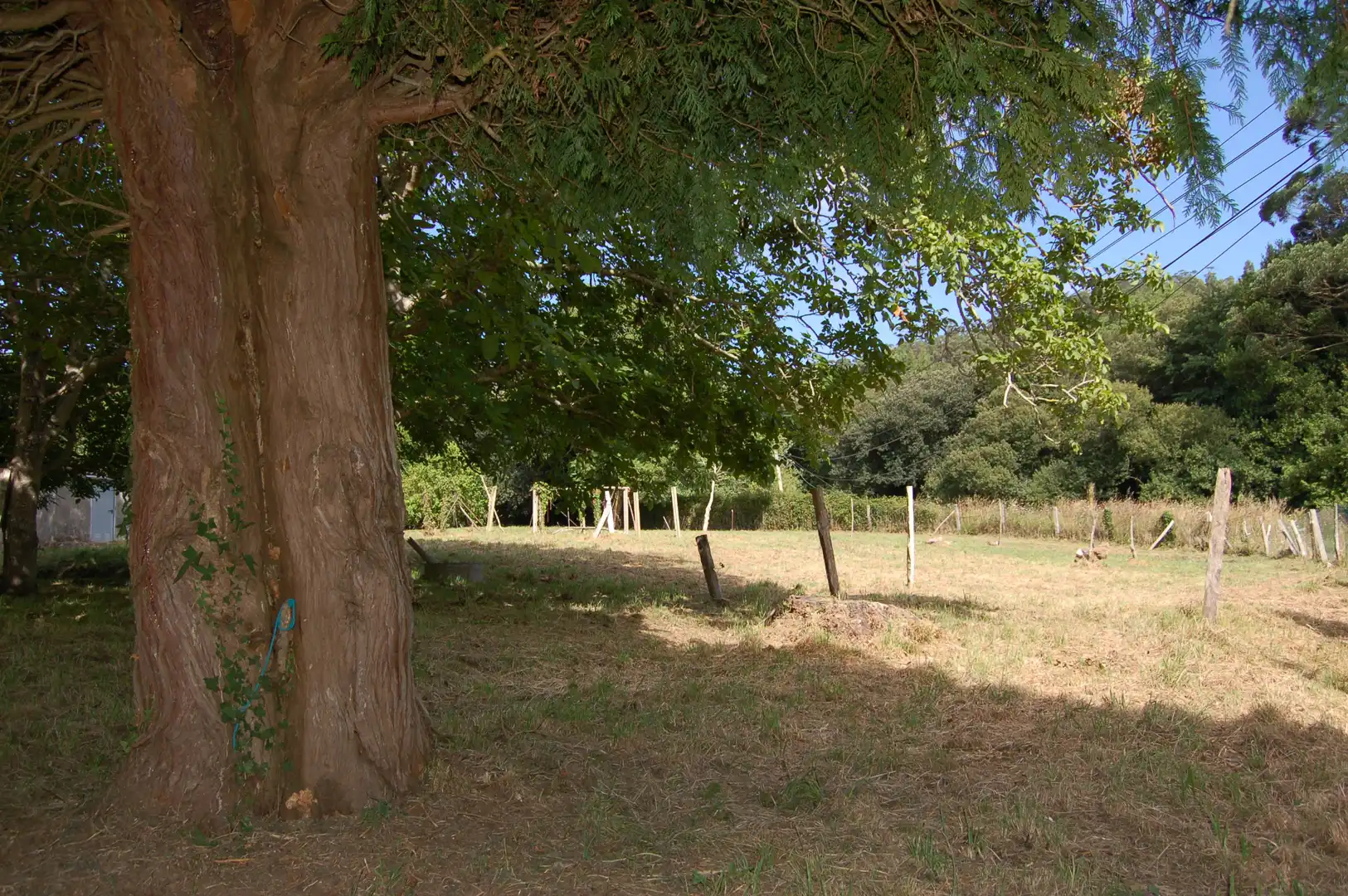 Grundstücke und Bauplätze zum Verkauf in Cedeira, imagen 2