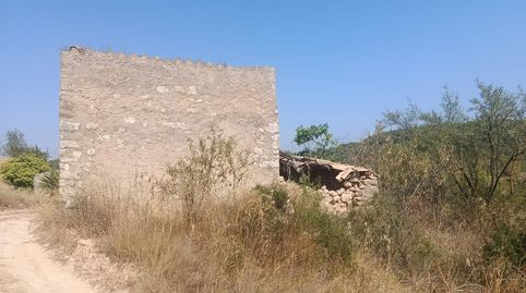 Terreno 7 Hectareas BATEA, immagine 2