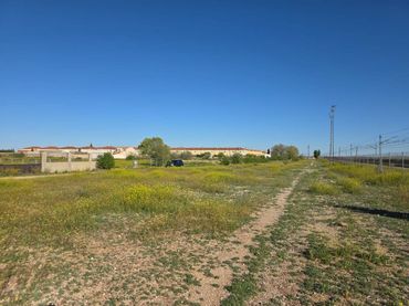 Rural land for sale in La Gineta