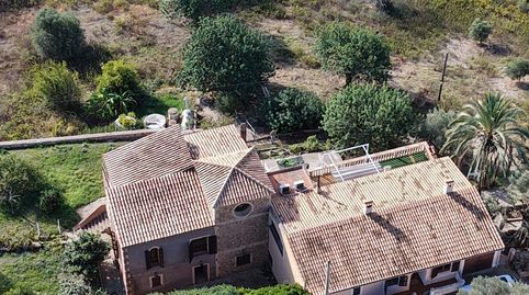 Son Servera, finca rústica con dos viviendas independientes, imatge 4