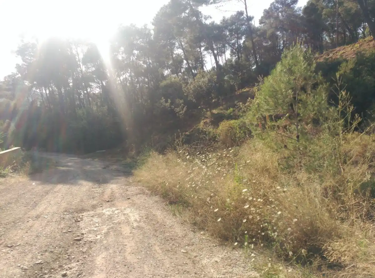 Terreni e lotti in vendita a Corbera de Llobregat